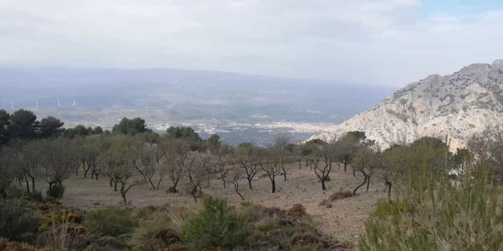 Land i Niguelas, Andalusia 11523552
