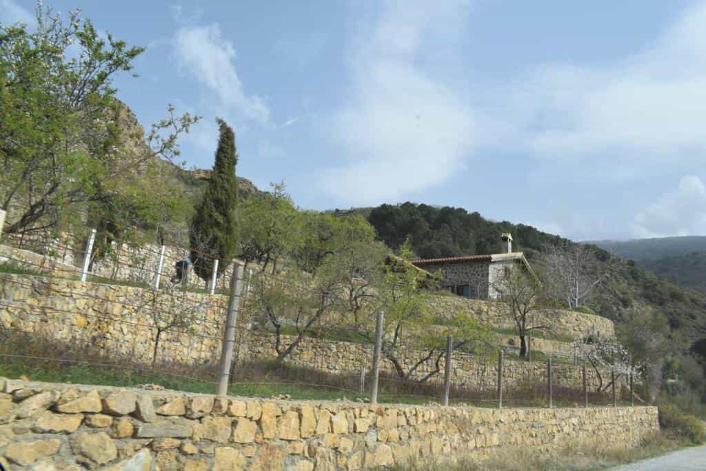 Land in Niguelas, Andalusia 11523553