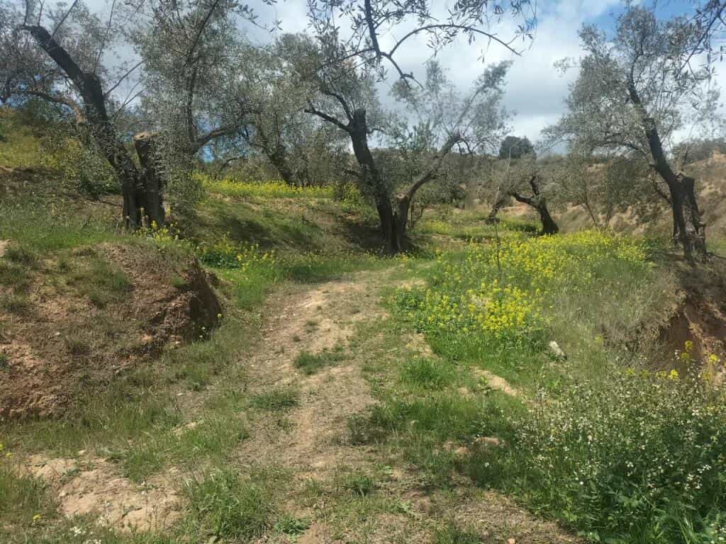 Land in Saleres, Andalusia 11523587