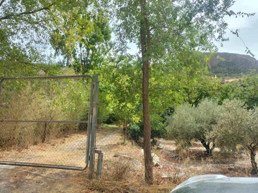 Land in Niguelas, Andalusia 11523598
