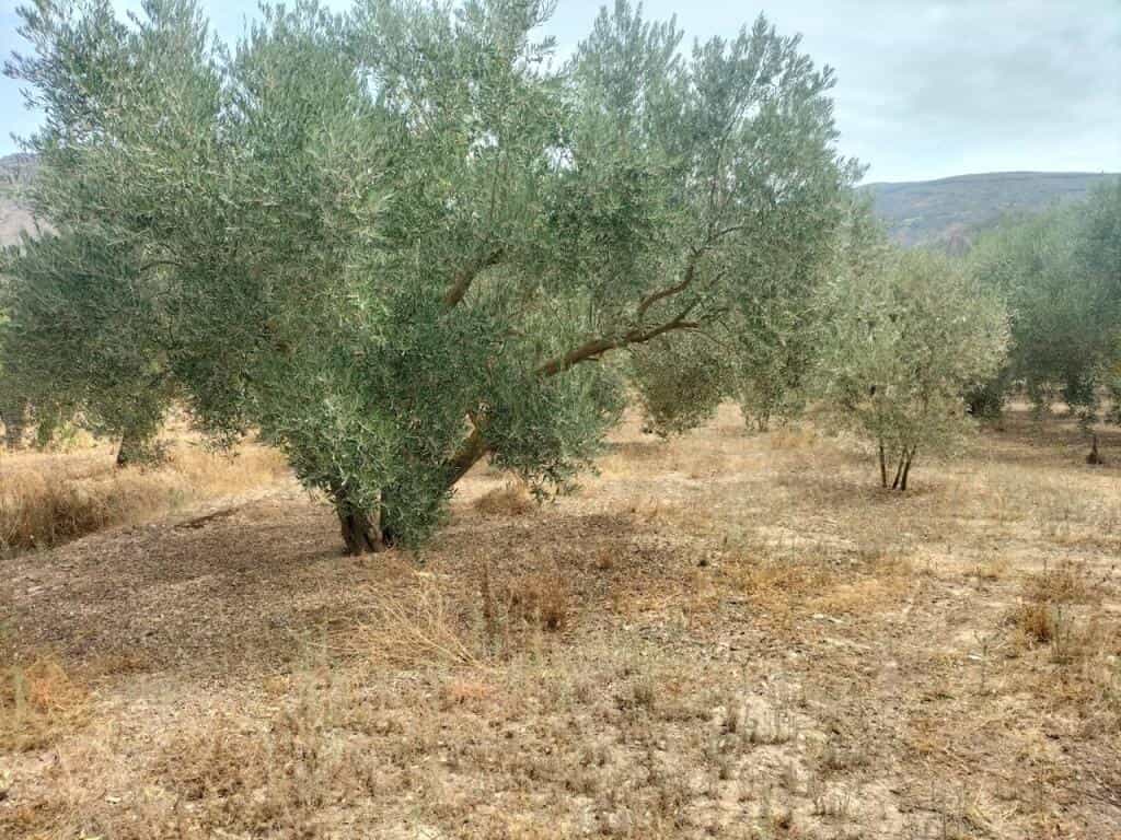 Tanah dalam Durcal, Andalusia 11523599