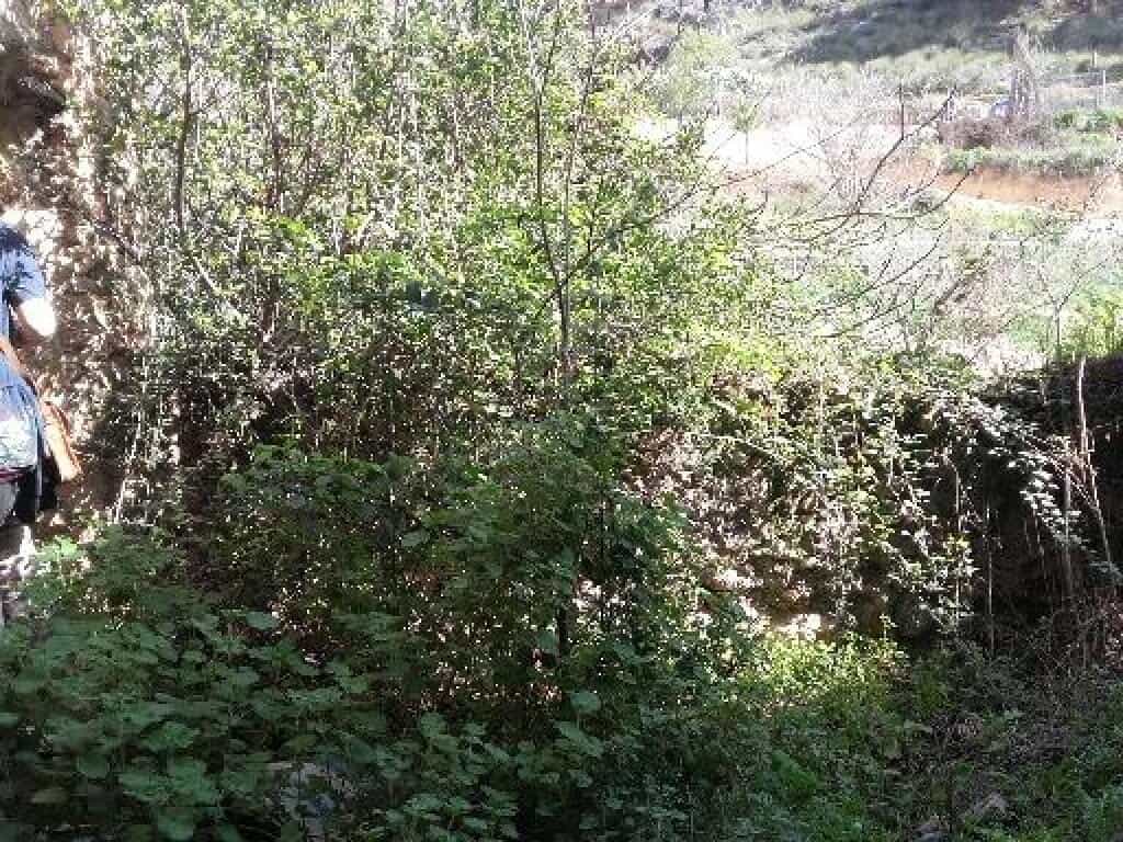 Land in Durcal, Andalusia 11523607