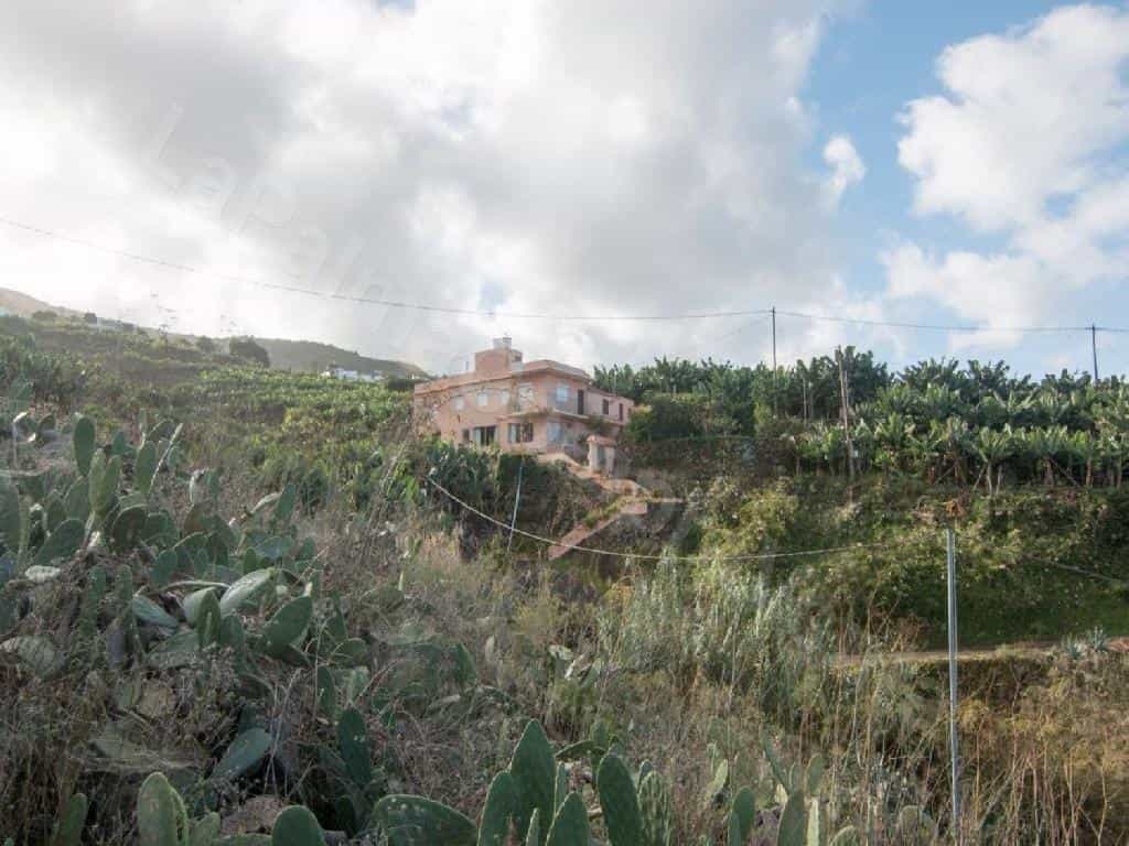 Hus i , Canarias 11523843