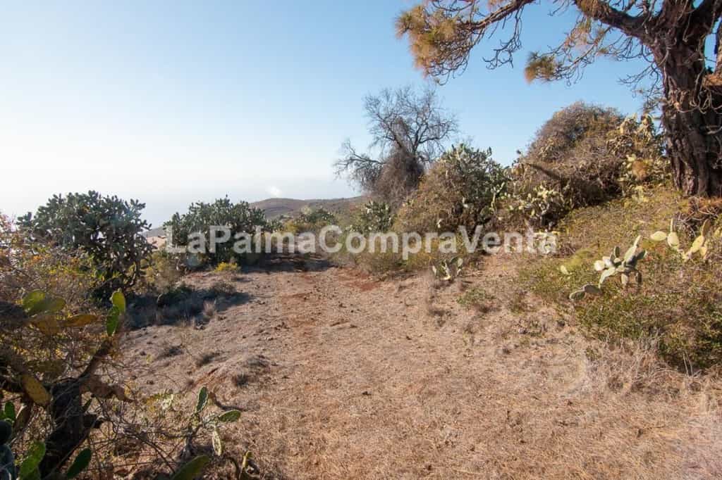 Land i Puntagorda, Canary Islands 11523868