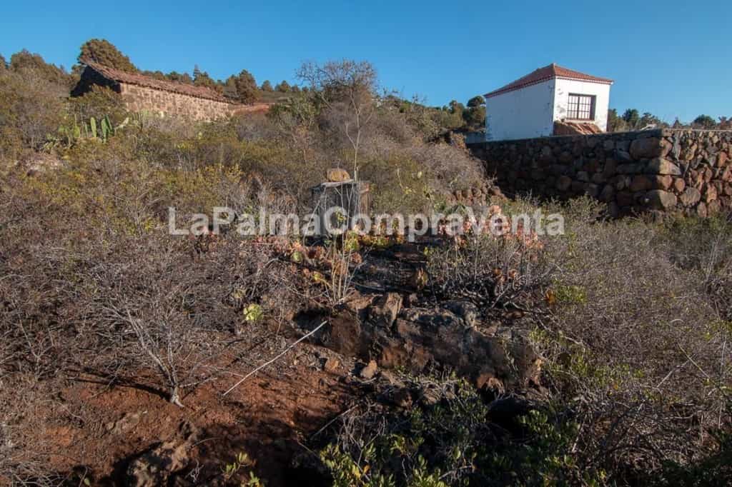 Land i Puntagorda, Canarias 11523869