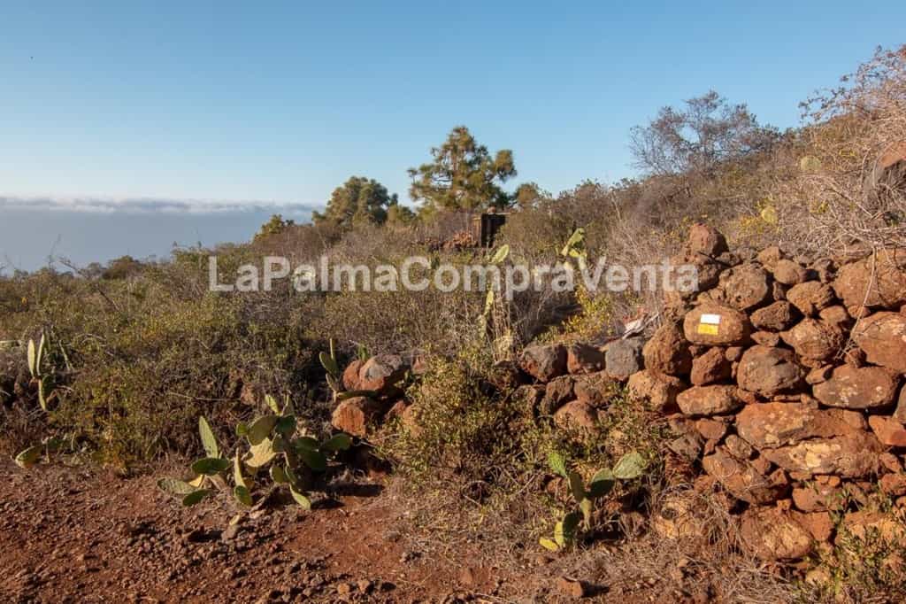 Tanah di Puntagorda, Canary Islands 11523869