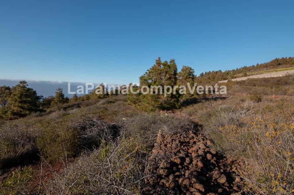 Land i Puntagorda, Canarias 11523869