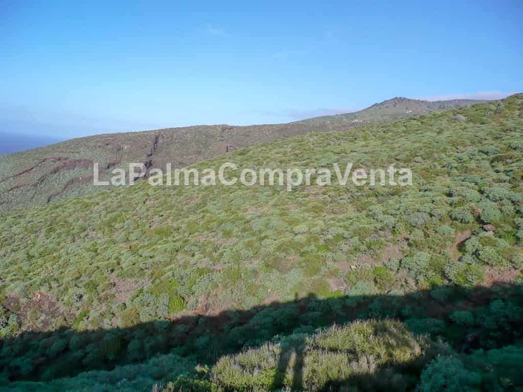 Земля в Puntagorda, Canary Islands 11523871