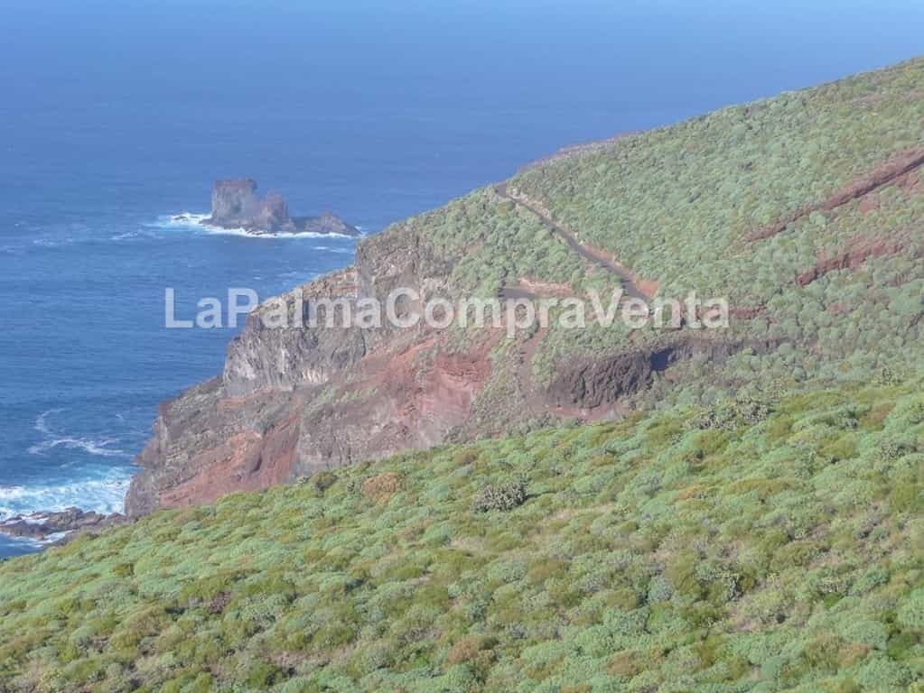나라 에 Puntagorda, Canary Islands 11523871