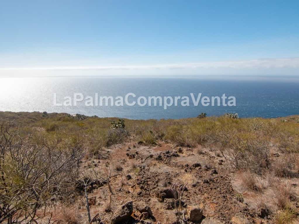 Land in , Canarias 11523871