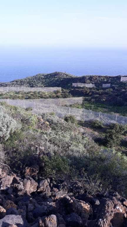 Tierra en Villa de Mazo, Canarias 11523879