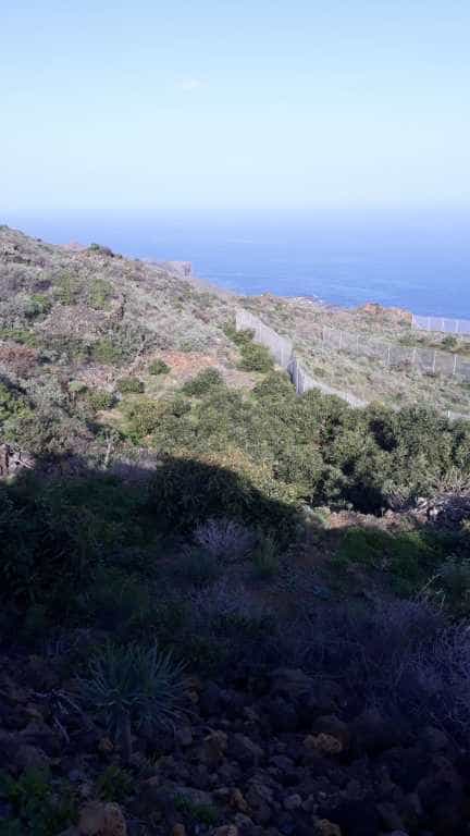 土地 在 Villa de Mazo, Canarias 11523879
