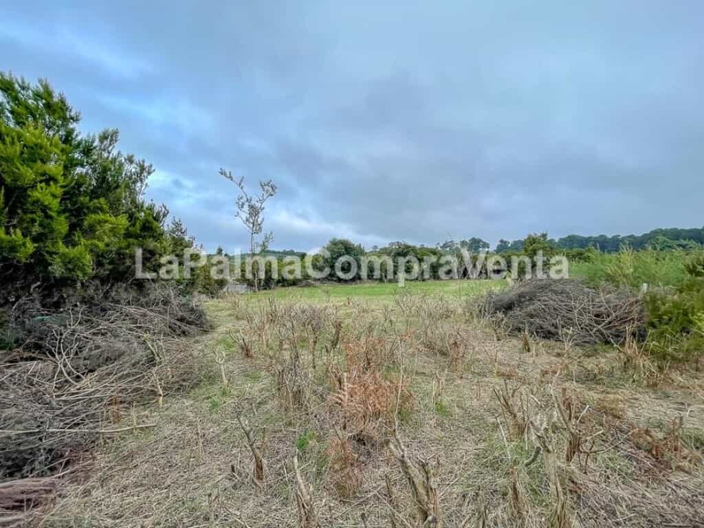 Land in , Canarias 11523882