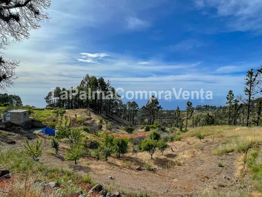 Land in , Canarias 11523887
