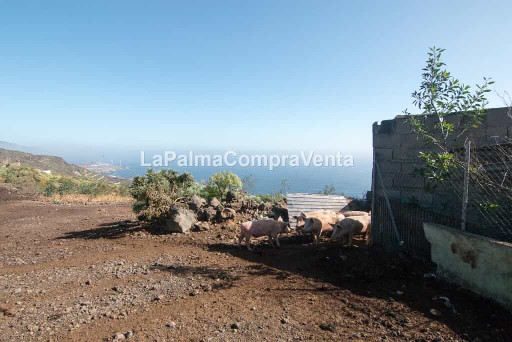 Land in , Canarias 11523899