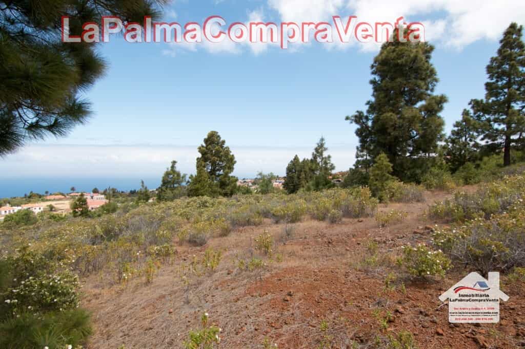 الأرض في Puntagorda, Canarias 11523901