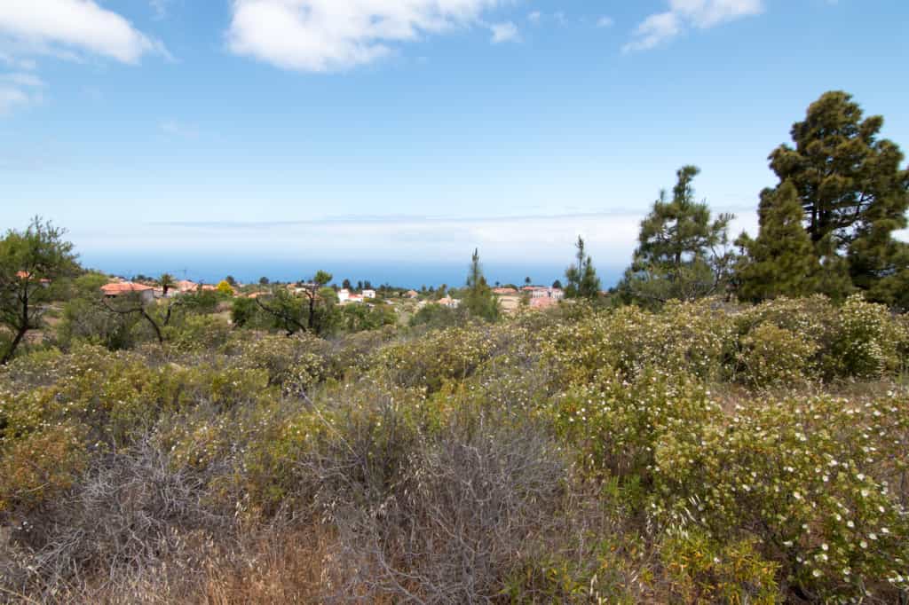 Земля в Puntagorda, Canarias 11523901