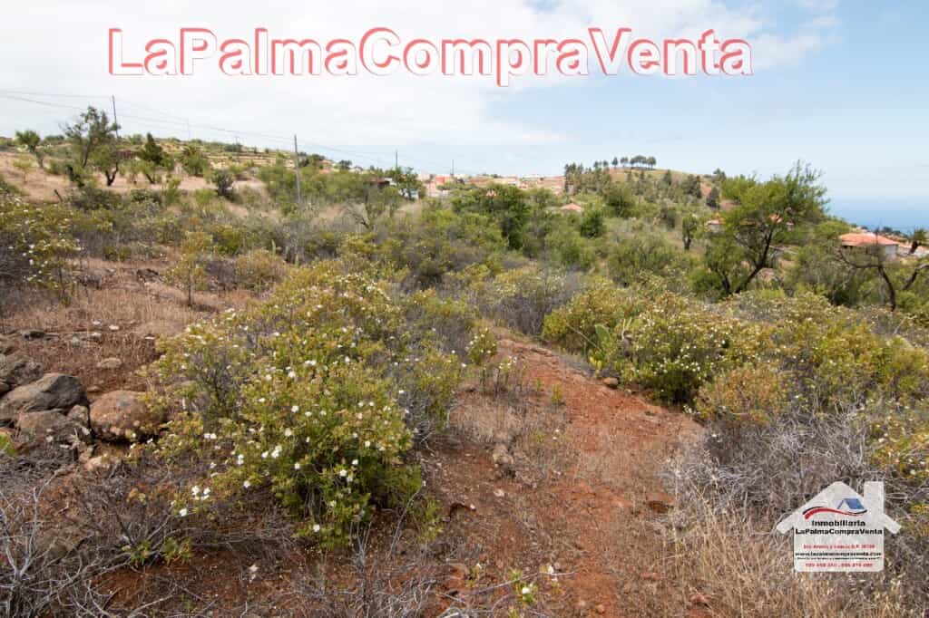 Land in Puntagorda, Canarias 11523901