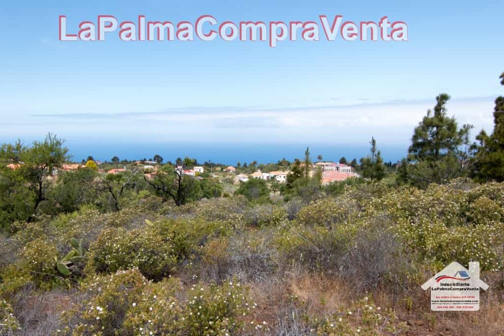 Land i Puntagorda, Canarias 11523901
