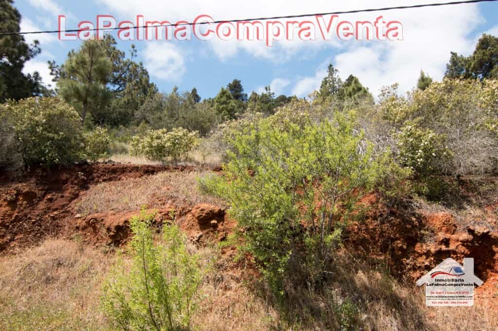 Terre dans Puntagorda, Canarias 11523902