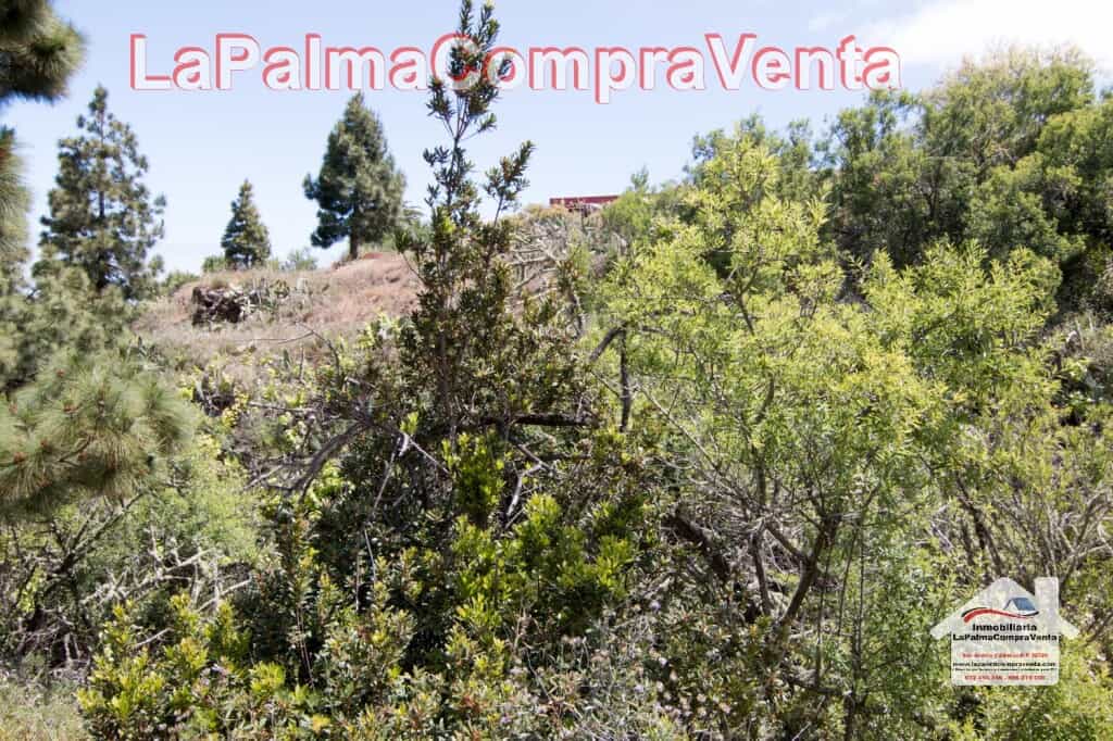 Tanah di Puntagorda, Canary Islands 11523902