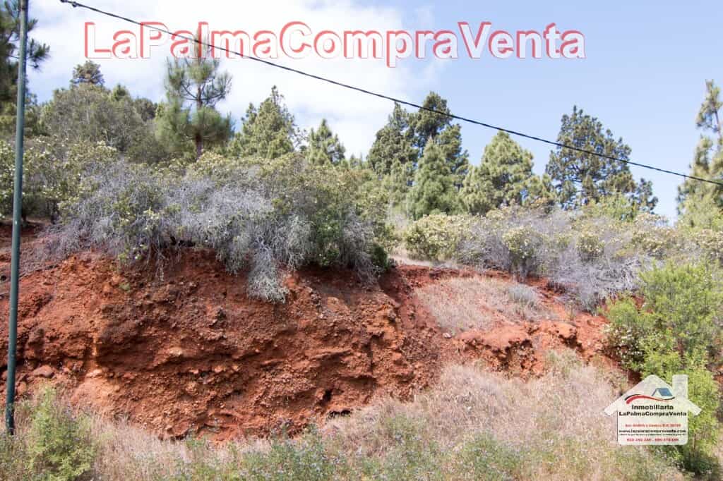 Tanah di Puntagorda, Canarias 11523902