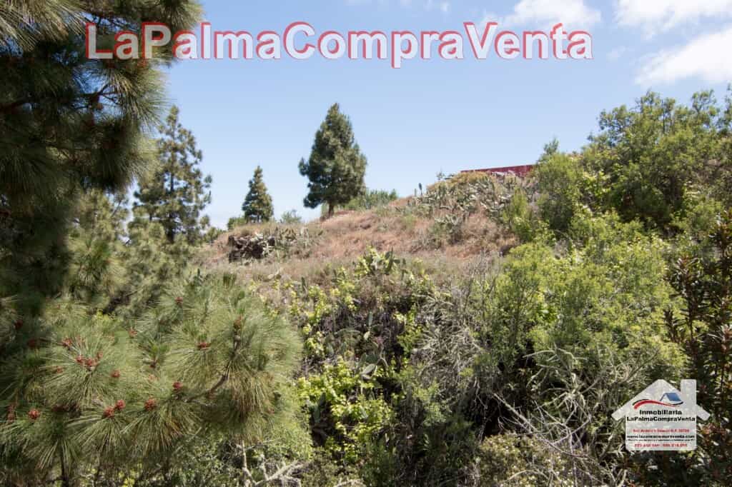 Γη σε Puntagorda, Canary Islands 11523902