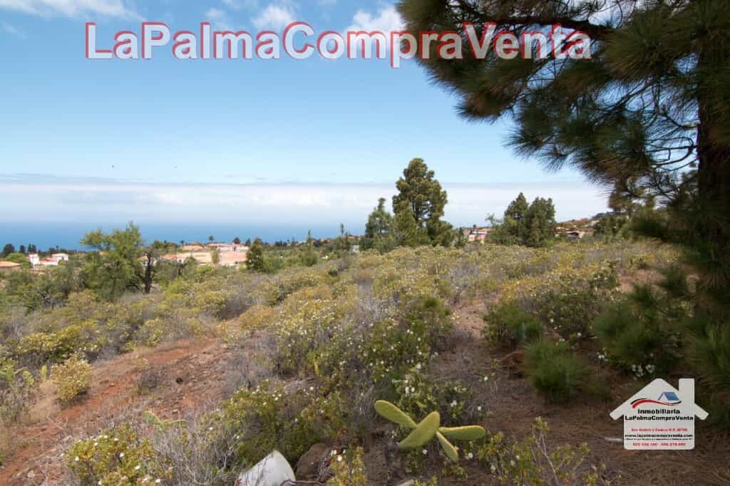 Tierra en Puntagorda, Canarias 11523903