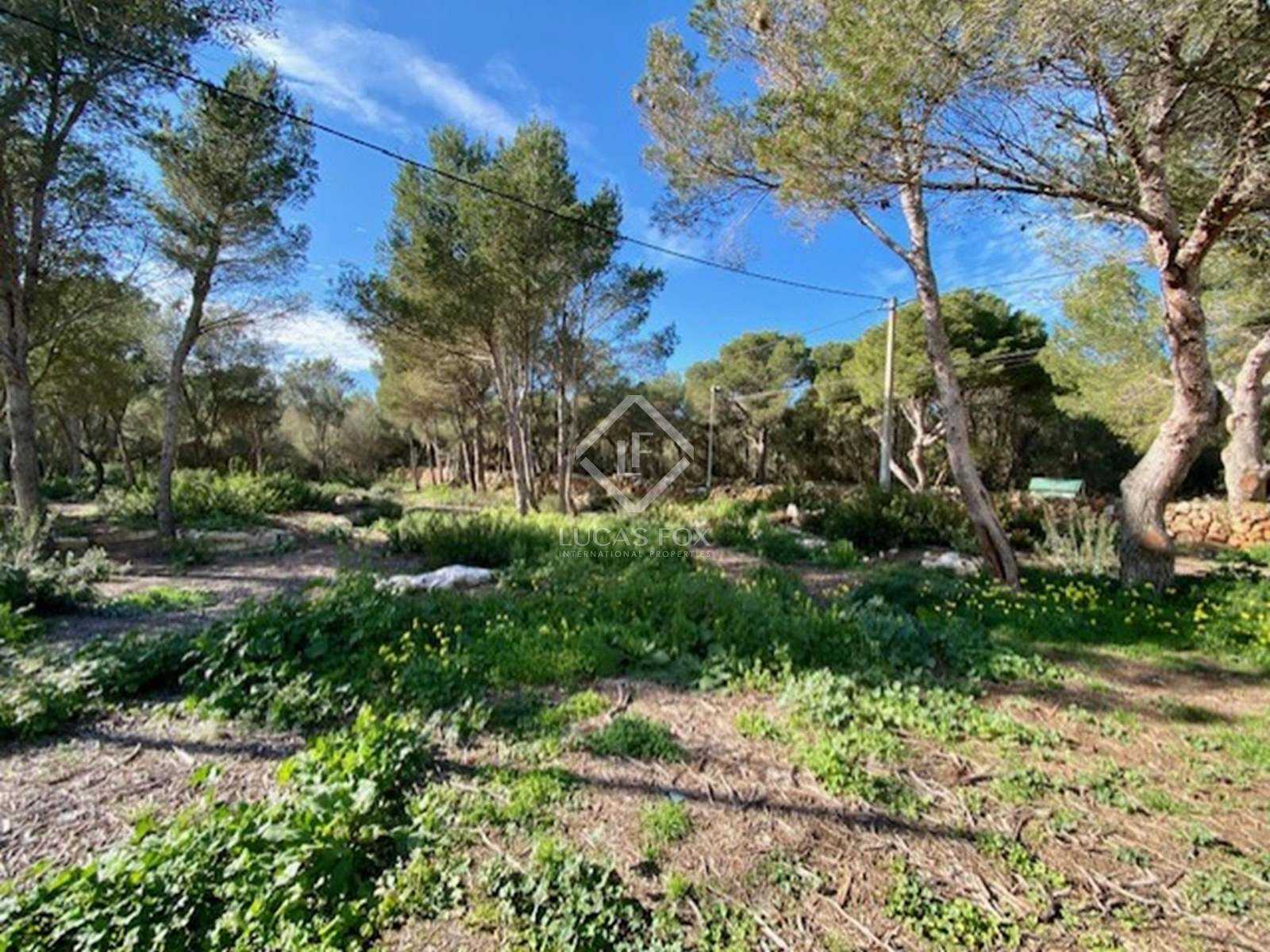 Tanah dalam Ferrerias, Kepulauan Balearic 11524213