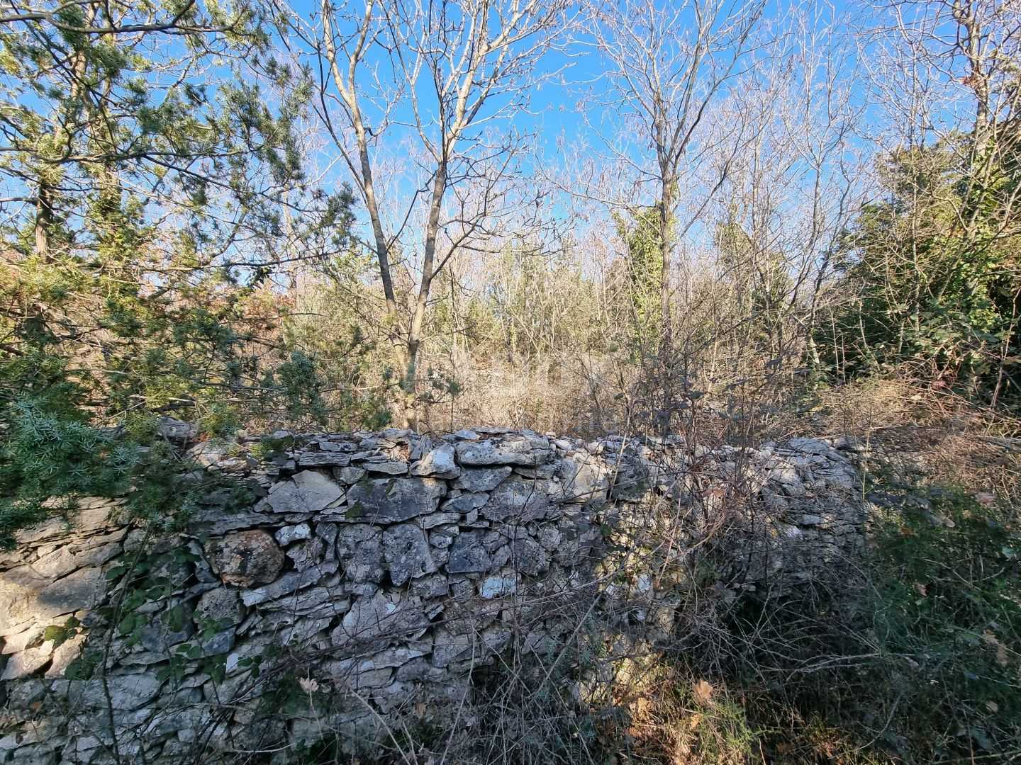 Tanah dalam Vodnjan, Istarska Zupanija 11525142