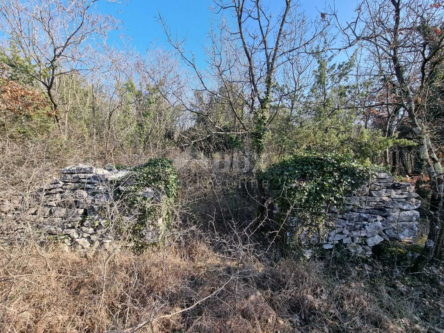 Tanah dalam Vodnjan, Istarska Zupanija 11525142