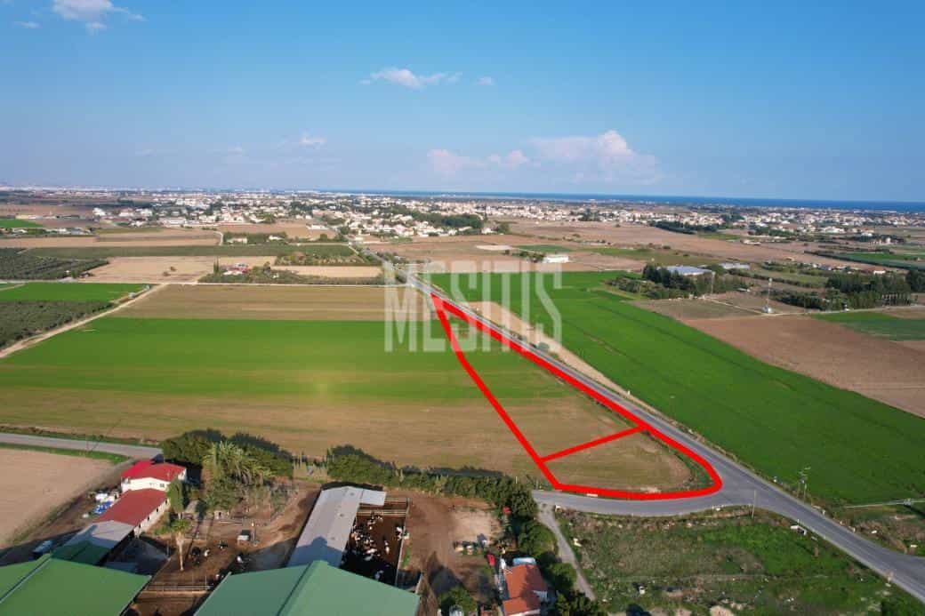 Tanah dalam Kiti, Larnaka 11525837