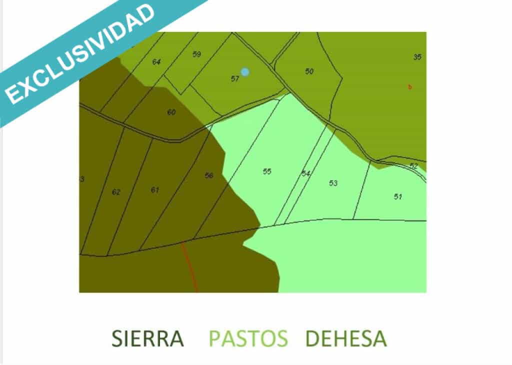 Земельные участки в Perales del Puerto, Extremadura 11528162