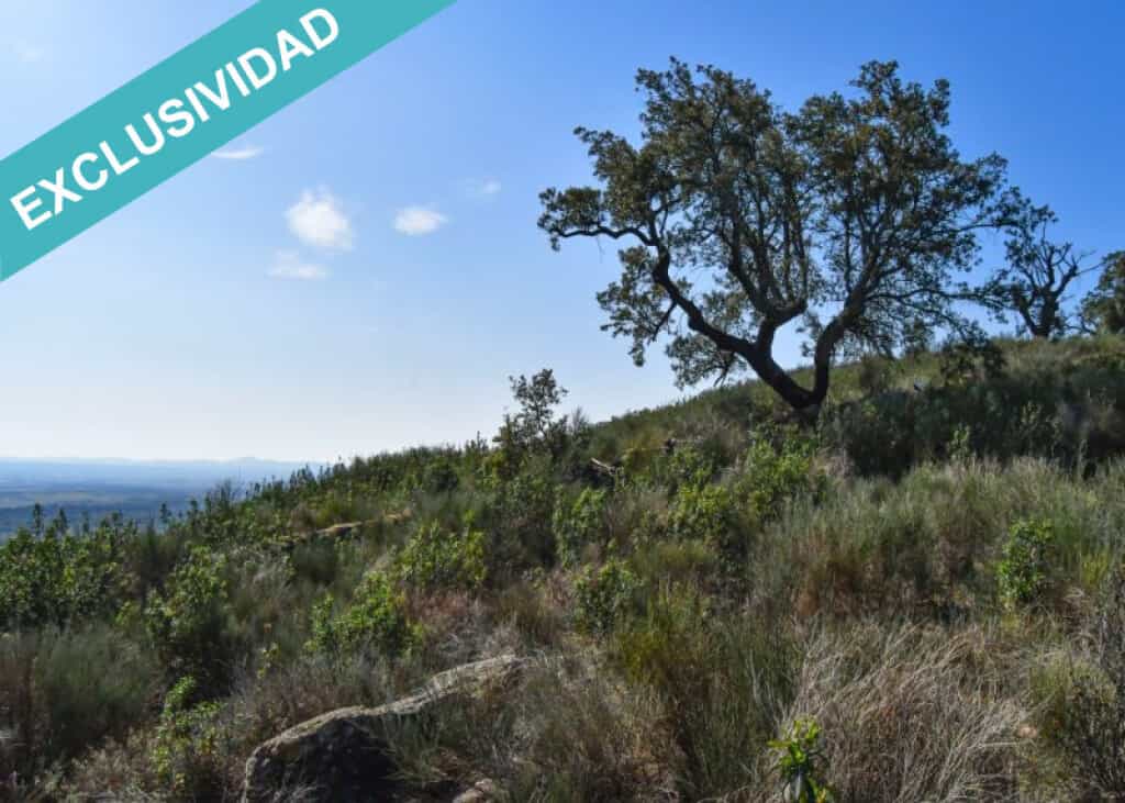Land in Perales del Puerto, Extremadura 11528162