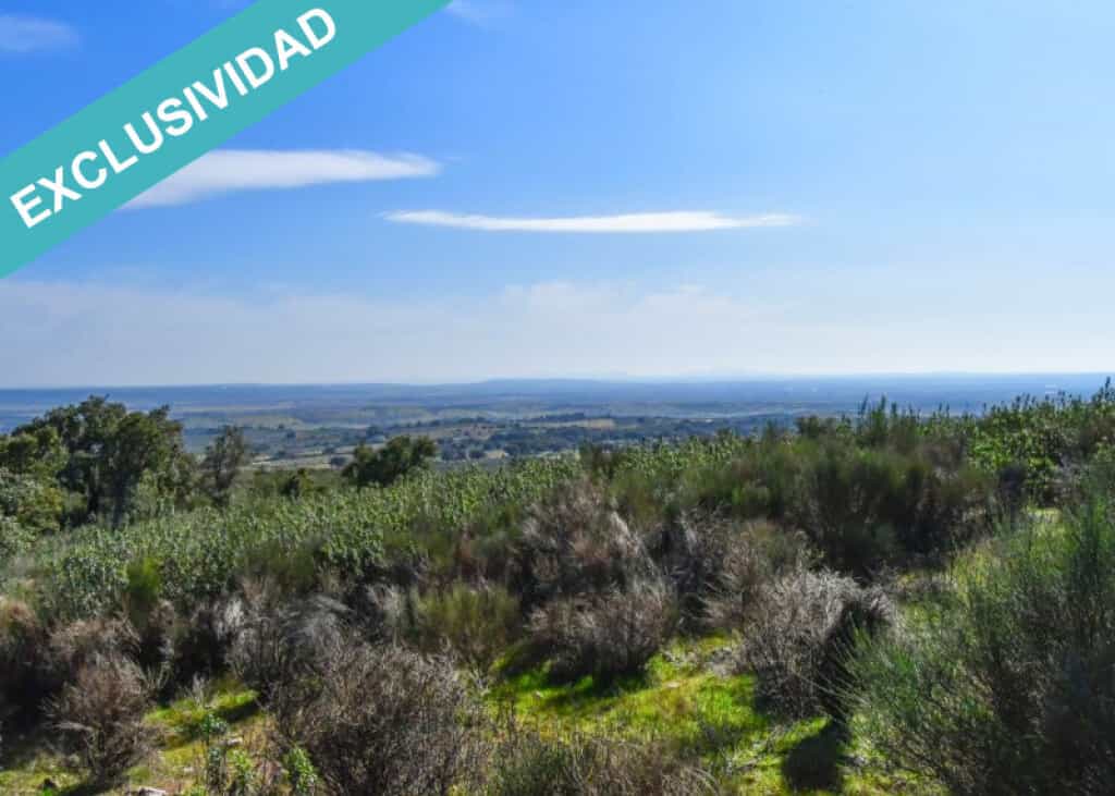 Land in Perales del Puerto, Extremadura 11528162