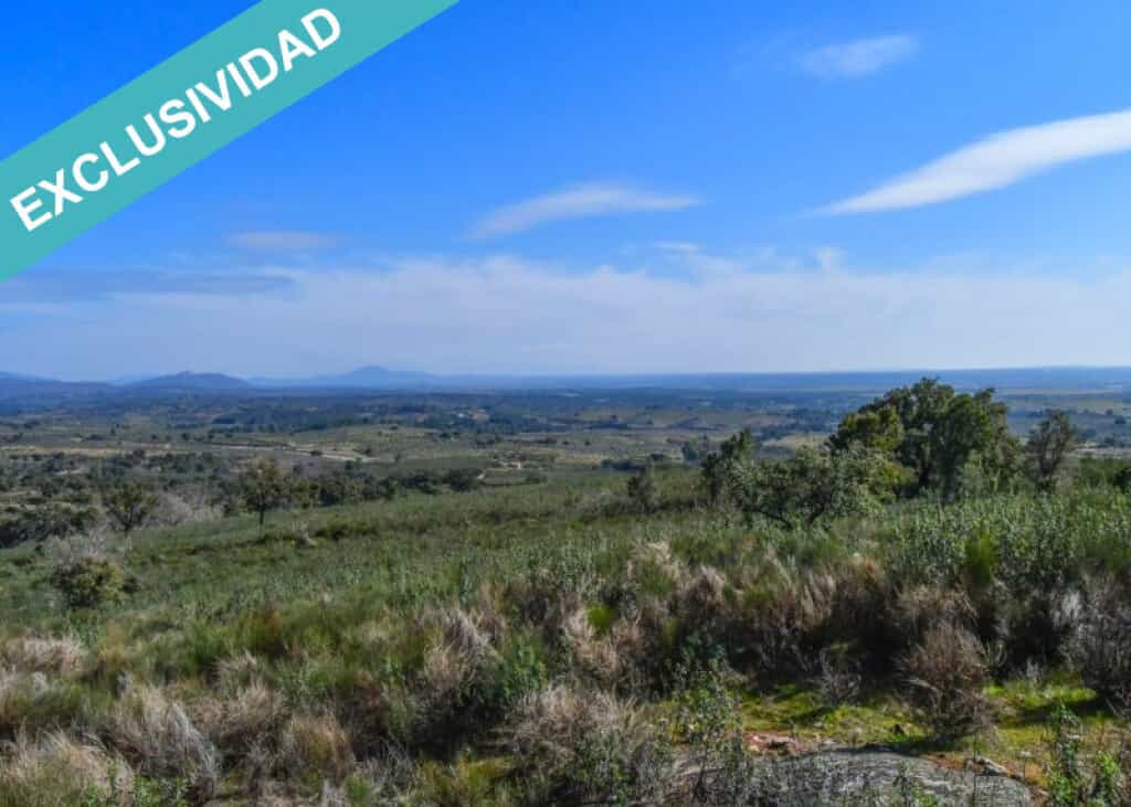 Terre dans Perales del Puerto, Extremadura 11528162