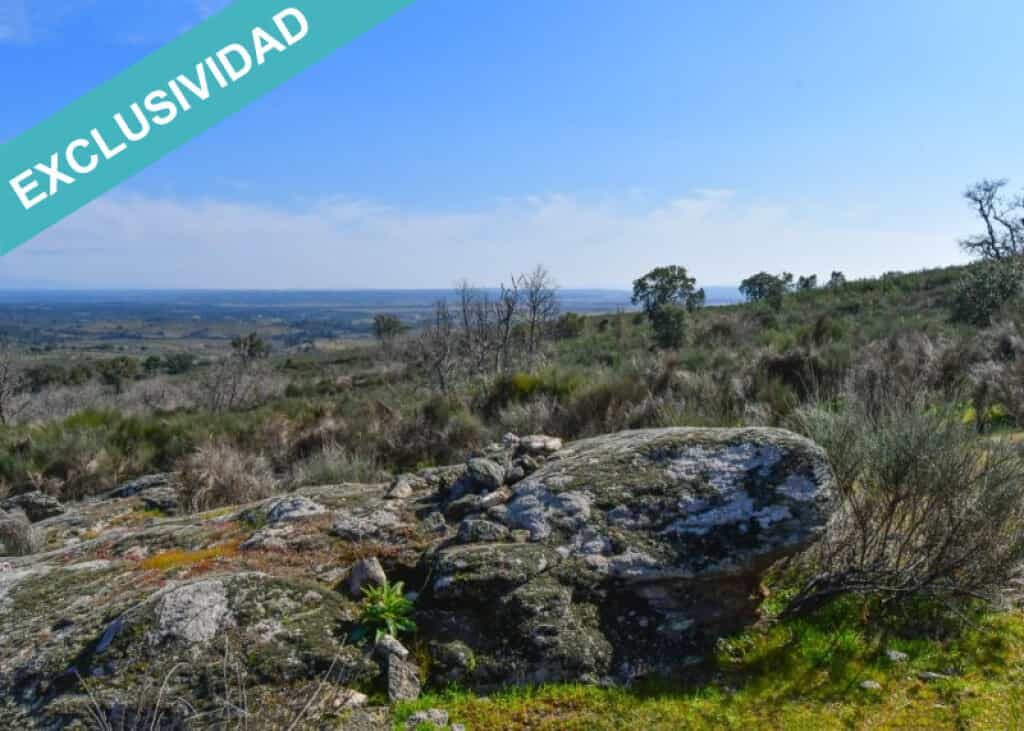 Maa sisään Perales del Puerto, Extremadura 11528892