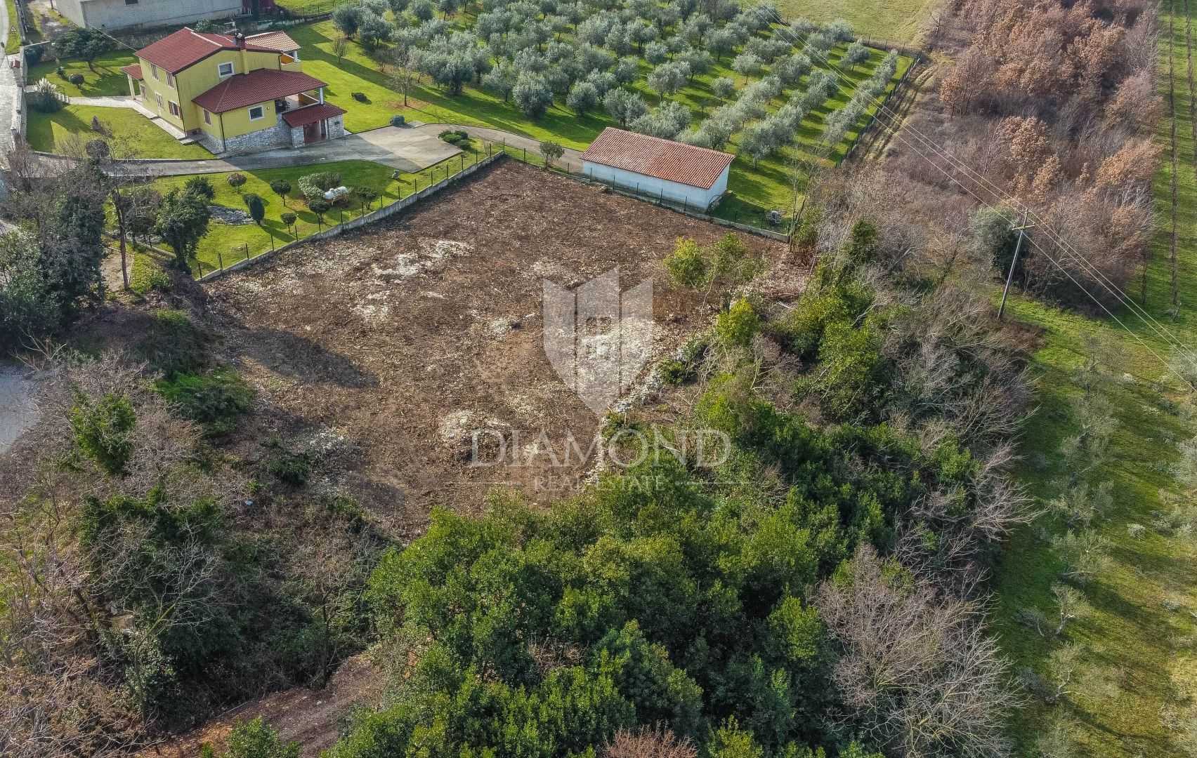 Tanah dalam Brtonigla, Istria County 11530614