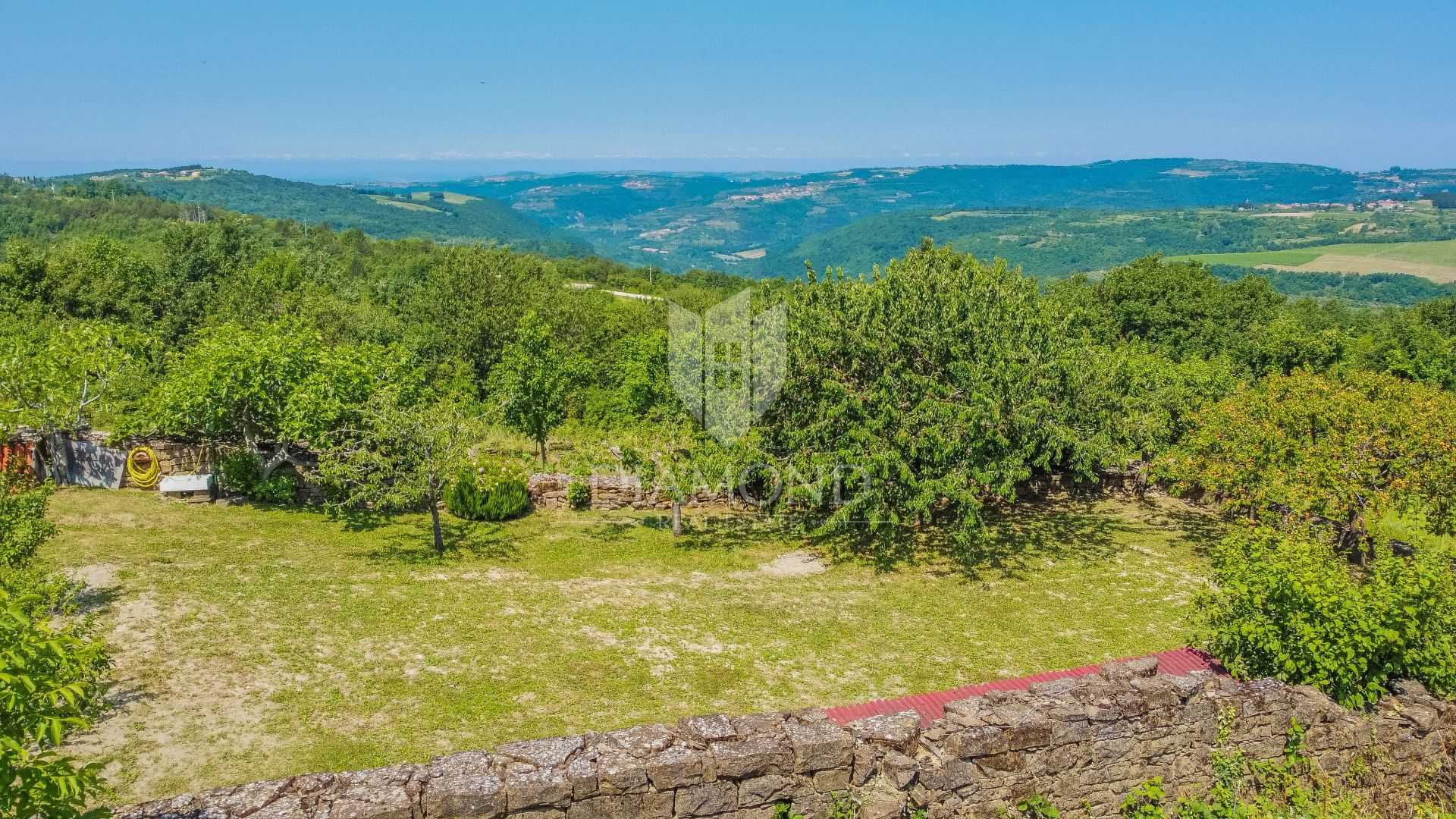 Terre dans Momjan, Istria County 11531759