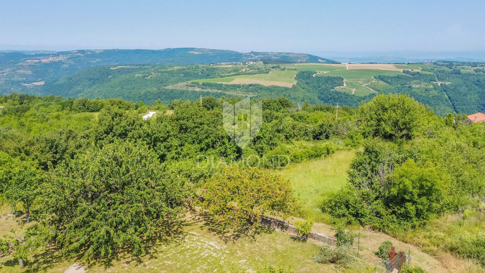 Land im Momjan, Istria County 11531759