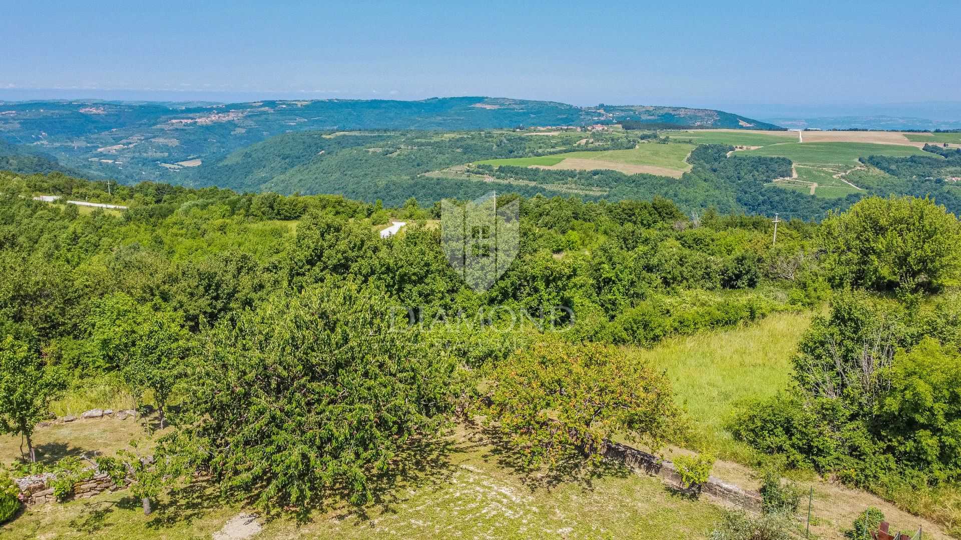Maa sisään Momjan, Istria County 11531759