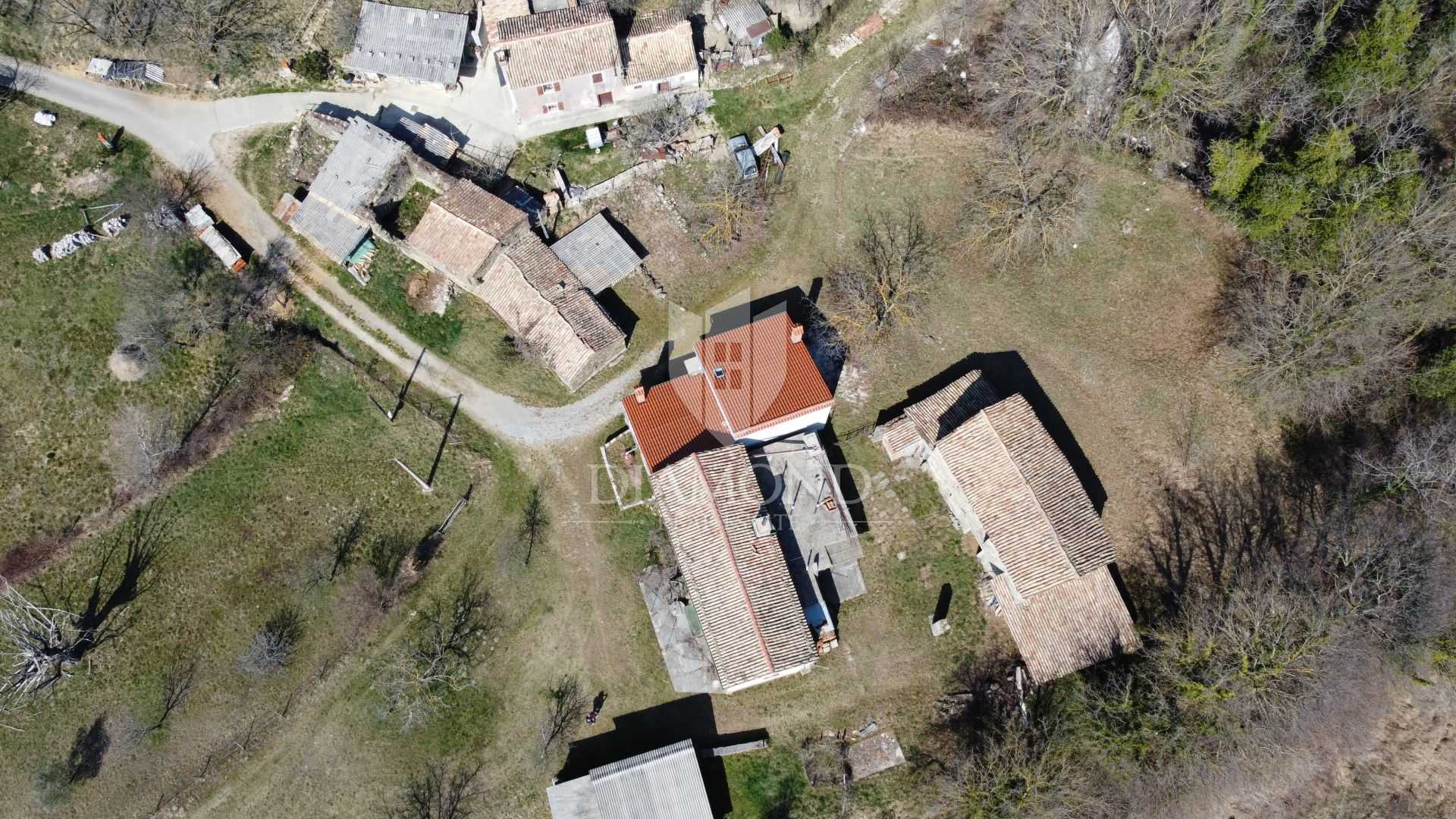 Hus i Cerovlje, Istarska Zupanija 11531966