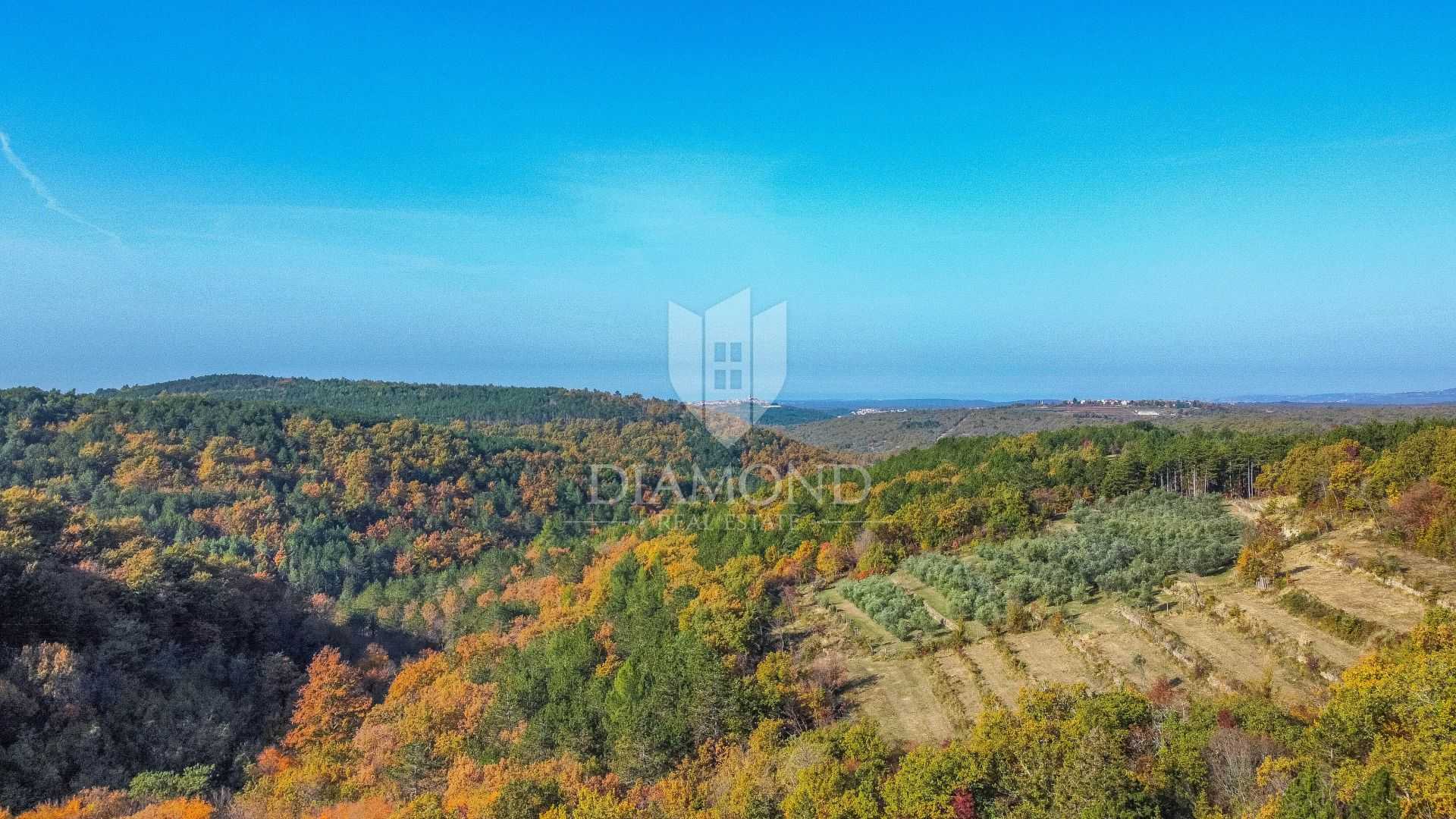 Land in Grožnjan, Istria County 11532164