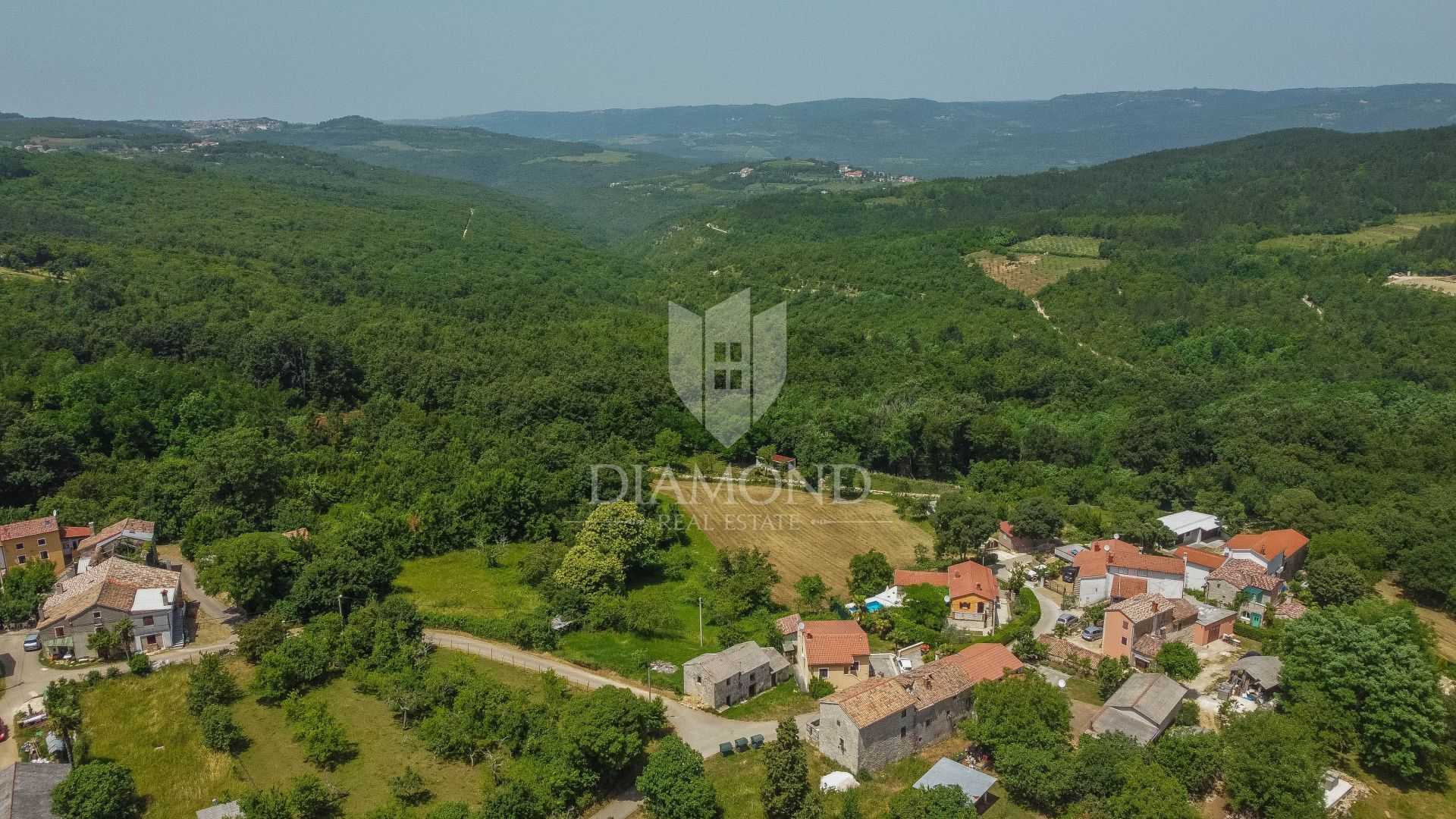 House in Motovun, Istarska Zupanija 11532265
