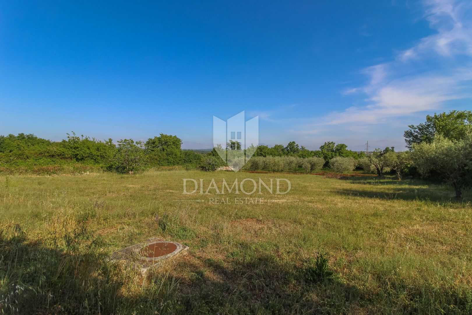 Land in Tar, Istria County 11532351
