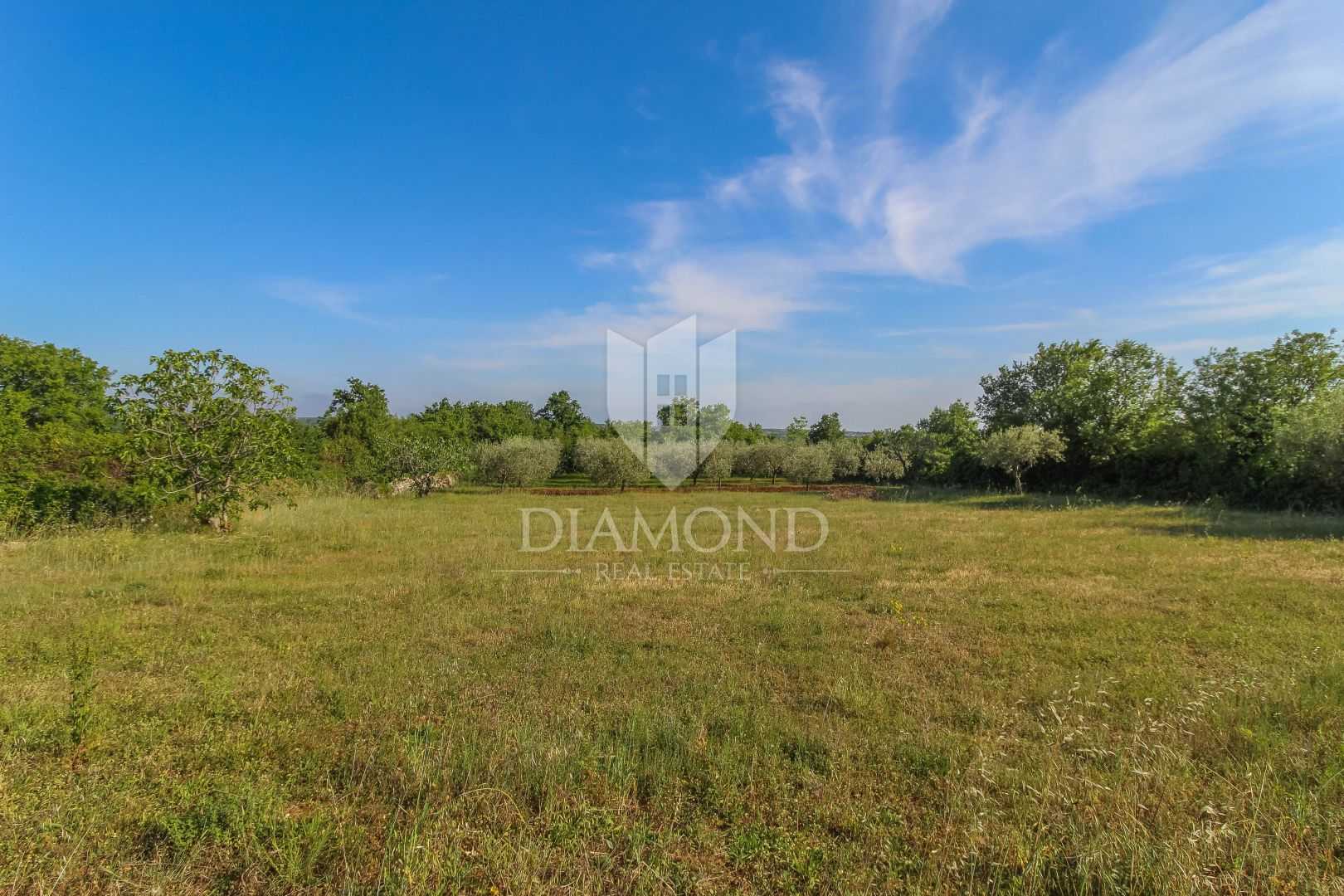 Land in Tar, Istria County 11532351