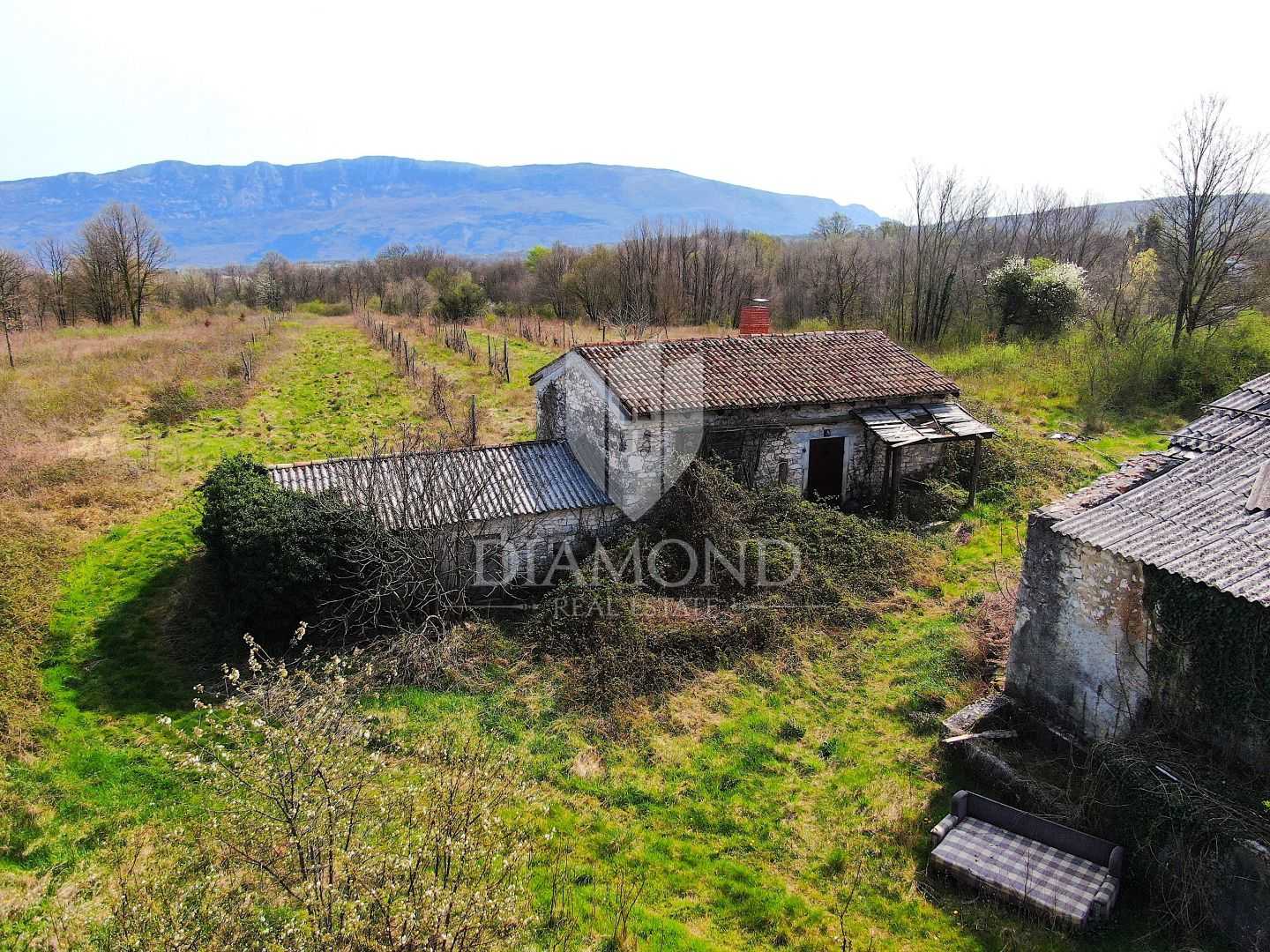 House in Krsan, Istarska Zupanija 11533559