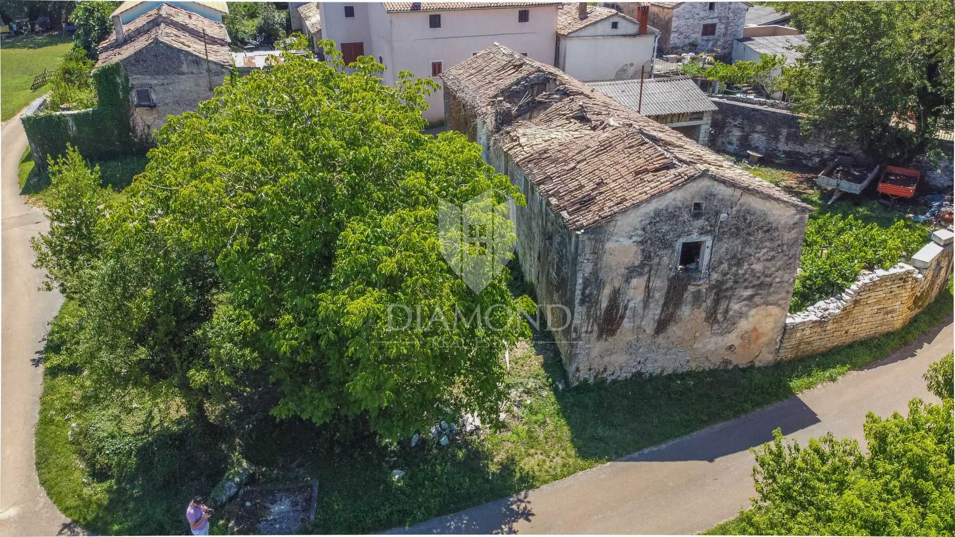 Hus i Tinjan, Istarska Zupanija 11533812