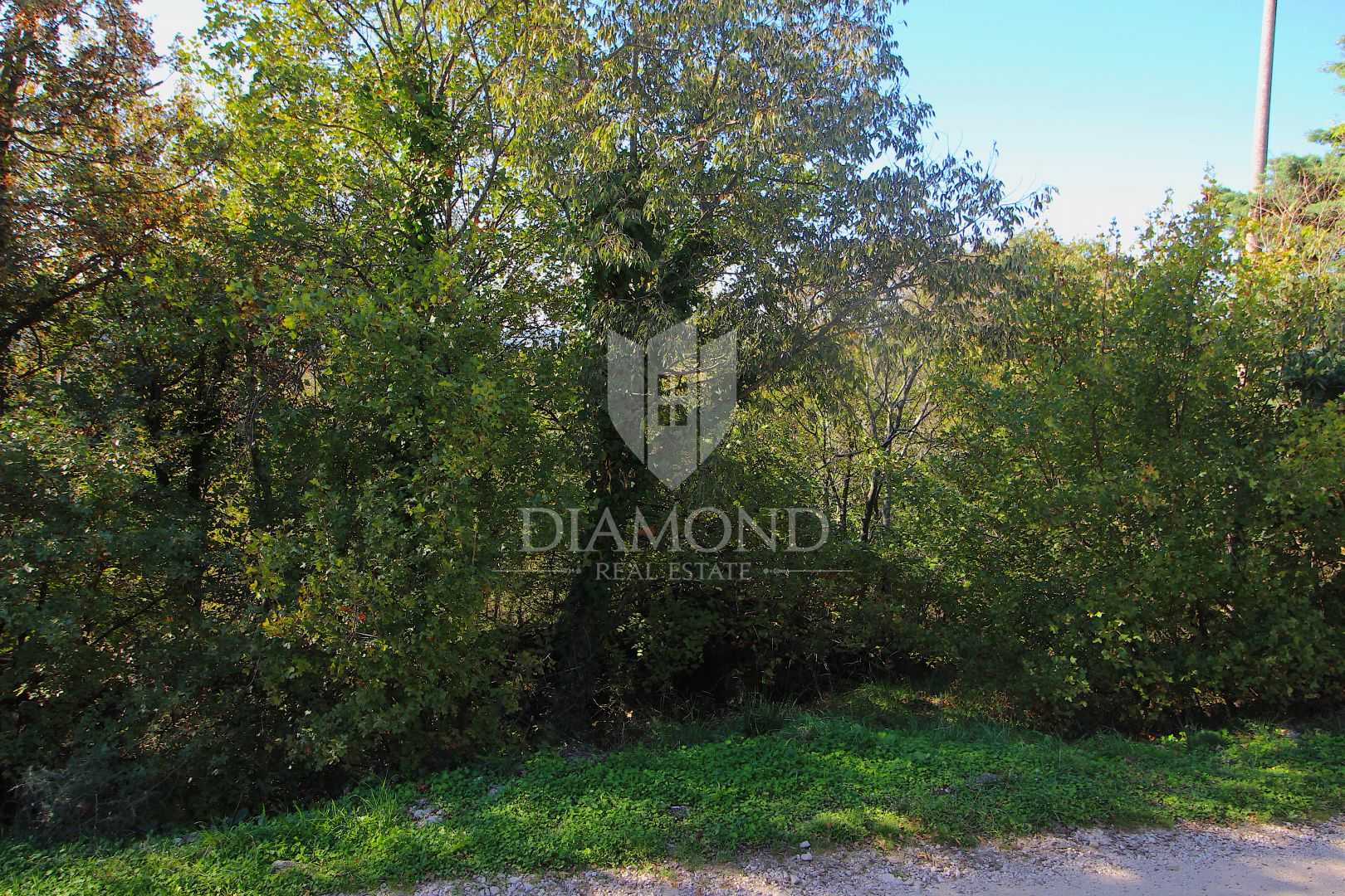 Land in Labin, Istria County 11534021