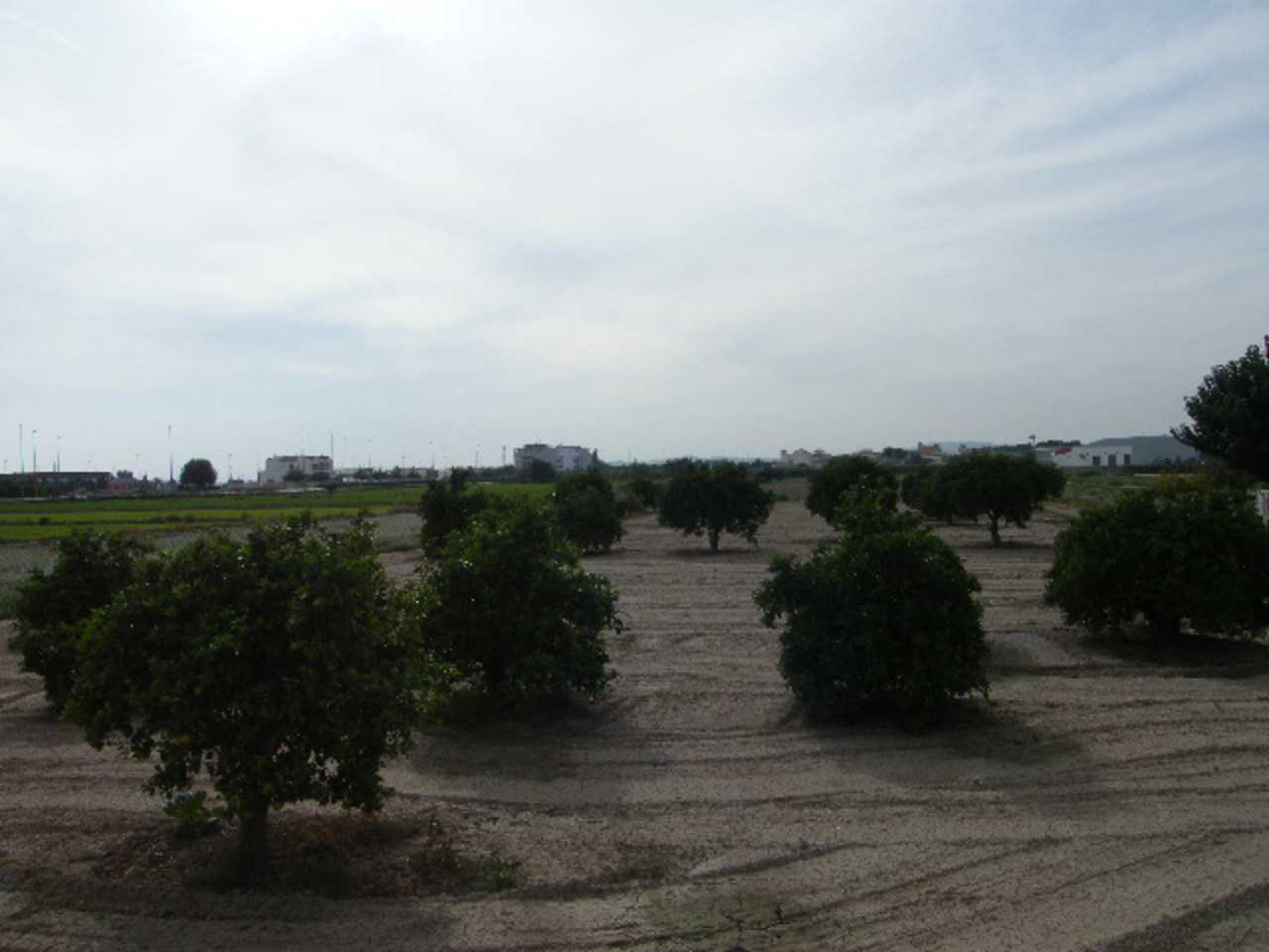 الأرض في Daya Nueva, Valencian Community 11534888